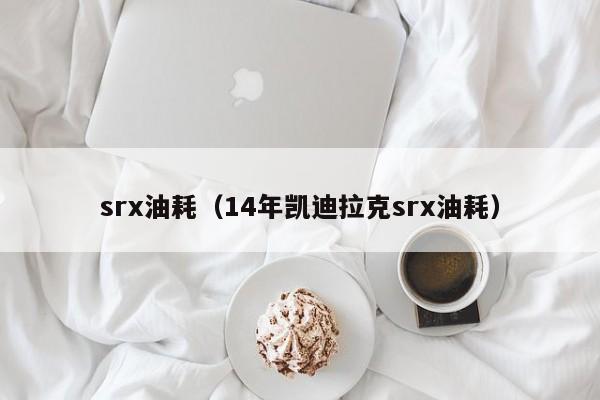 srx油耗（14年凯迪拉克srx油耗）