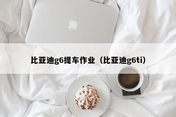 比亚迪g6提车作业（比亚迪g6ti）