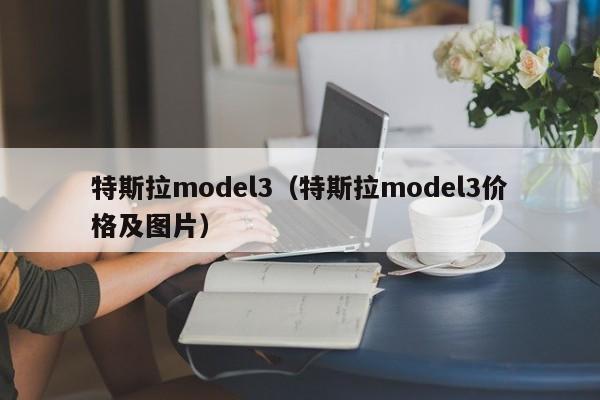 特斯拉model3（特斯拉model3价格及图片）