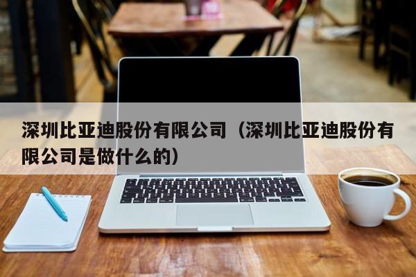 深圳比亚迪股份有限公司（深圳比亚迪股份有限公司是做什么的）