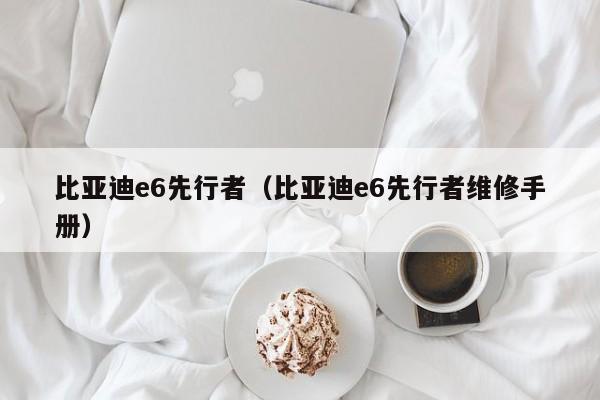 比亚迪e6先行者（比亚迪e6先行者维修手册）