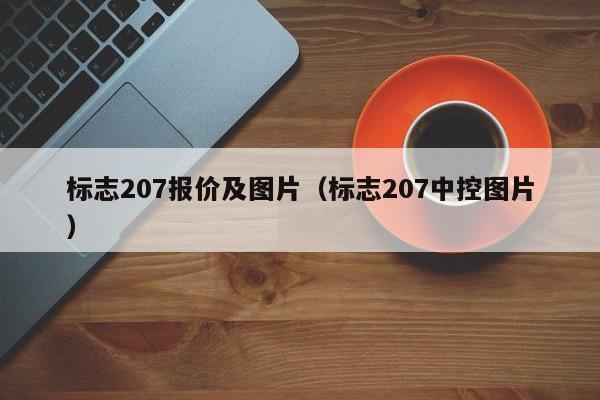 标志207报价及图片（标志207中控图片）