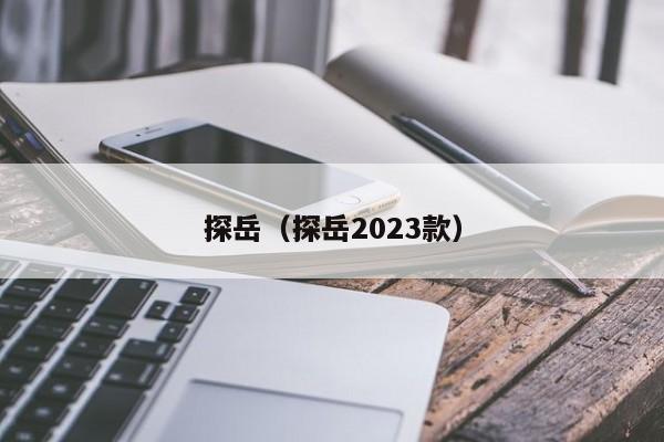 探岳（探岳2023款）