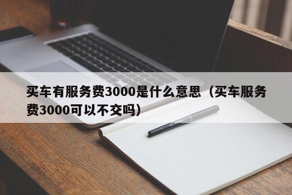 买车有服务费3000是什么意思（买车服务费3000可以不交吗）