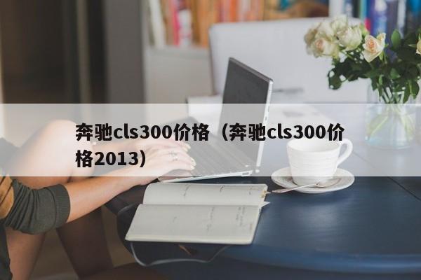 奔驰cls300价格（奔驰cls300价格2013）