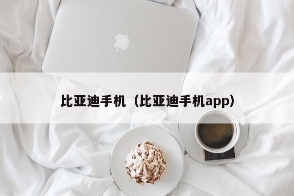 比亚迪手机（比亚迪手机app）