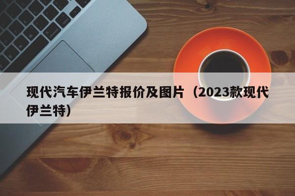 现代汽车伊兰特报价及图片（2023款现代伊兰特）