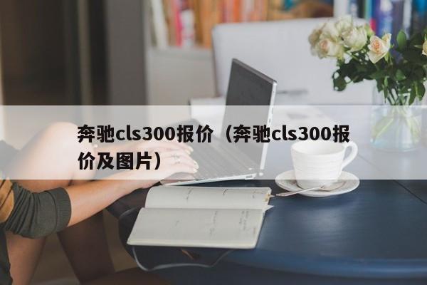 奔驰cls300报价（奔驰cls300报价及图片）