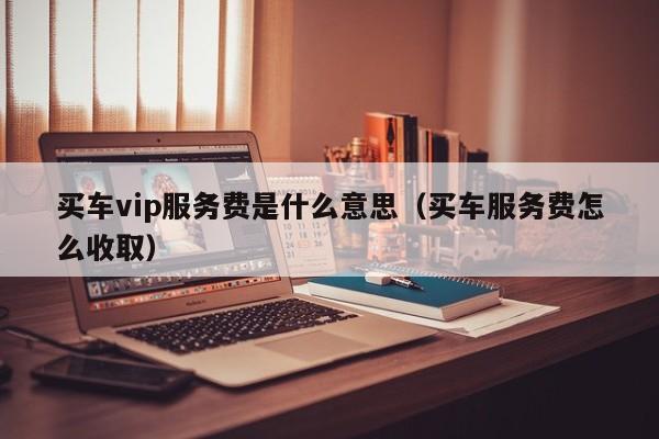 买车vip服务费是什么意思（买车服务费怎么收取）