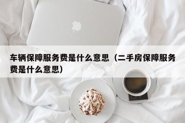 车辆保障服务费是什么意思（二手房保障服务费是什么意思）