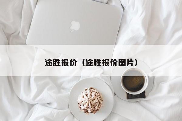 途胜报价（途胜报价图片）