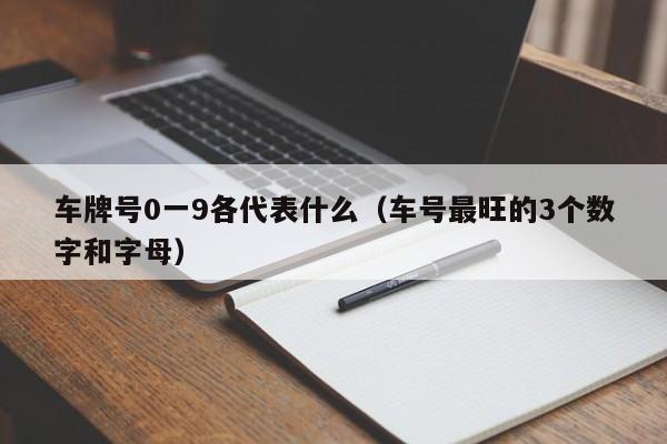 车牌号0一9各代表什么（车号最旺的3个数字和字母）