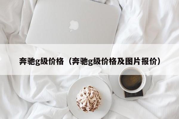 奔驰g级价格（奔驰g级价格及图片报价）