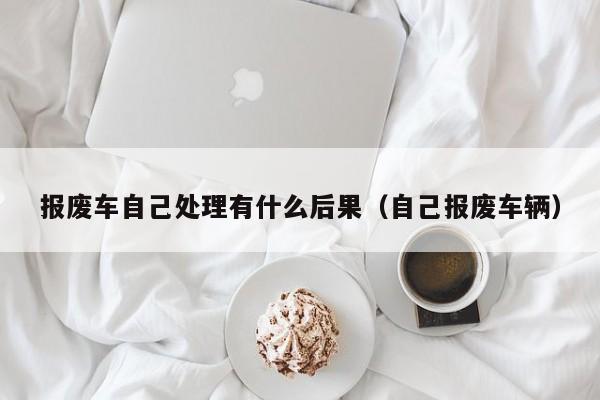 报废车自己处理有什么后果（自己报废车辆）