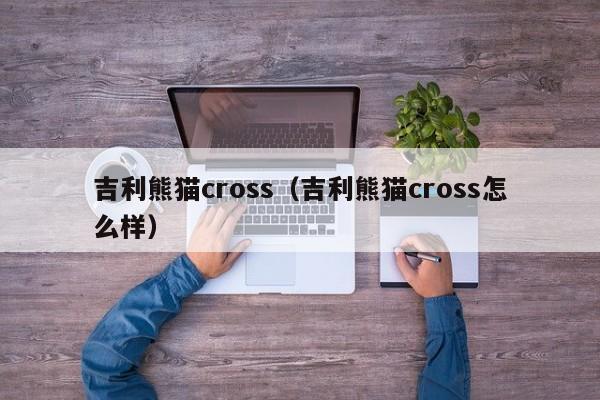 吉利熊猫cross（吉利熊猫cross怎么样）