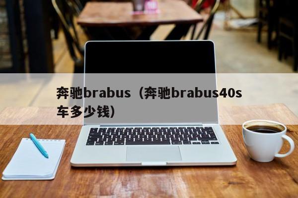 奔驰brabus（奔驰brabus40s车多少钱）