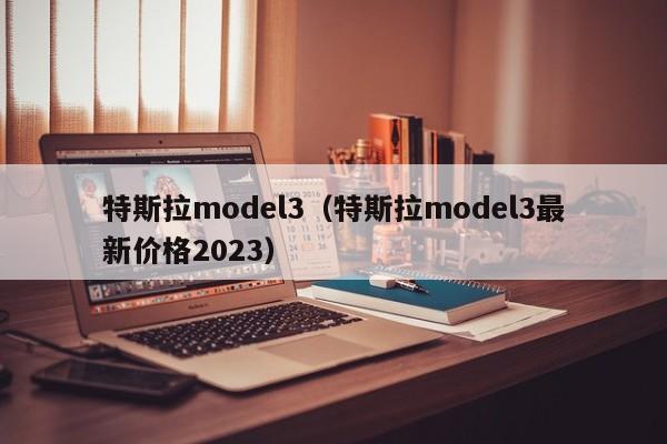 特斯拉model3（特斯拉model3最新价格2023）