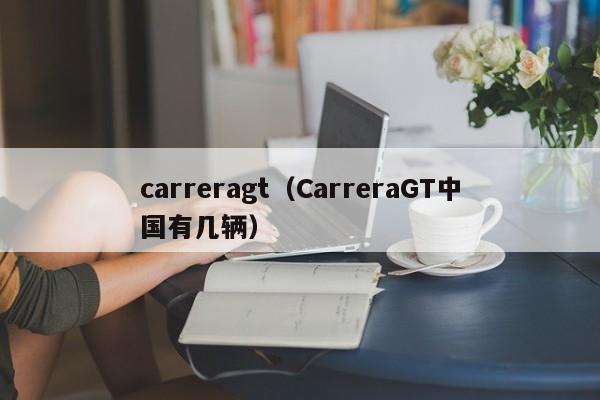 carreragt（CarreraGT中国有几辆）