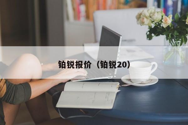 铂锐报价（铂锐20）