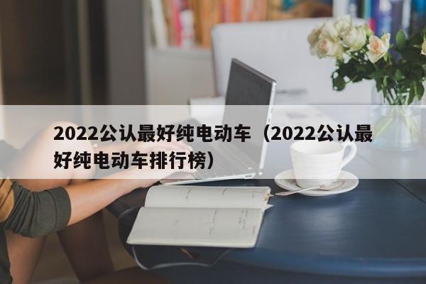 2022公认最好纯电动车（2022公认最好纯电动车排行榜）