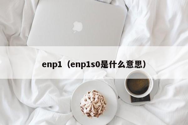 enp1（enp1s0是什么意思）