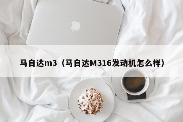 马自达m3（马自达M316发动机怎么样）