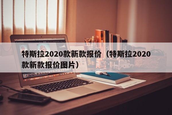 特斯拉2020款新款报价（特斯拉2020款新款报价图片）