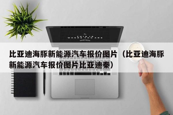 比亚迪海豚新能源汽车报价图片（比亚迪海豚新能源汽车报价图片比亚迪秦）