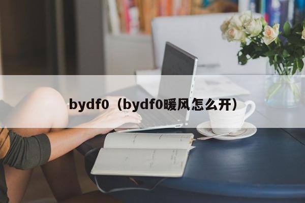 bydf0（bydf0暖风怎么开）