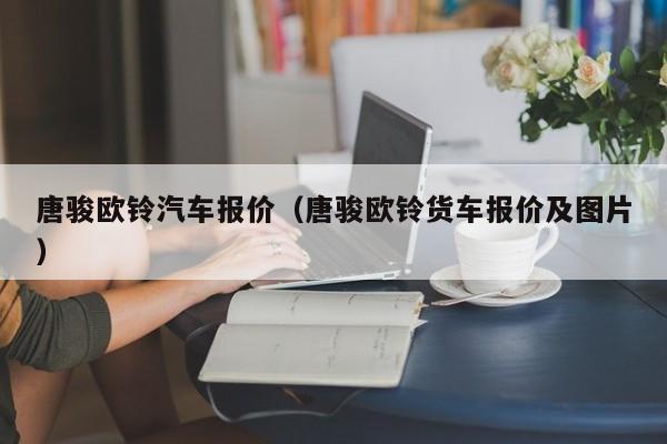 唐骏欧铃汽车报价（唐骏欧铃货车报价及图片）