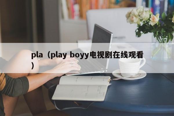 pla（play boyy电视剧在线观看）