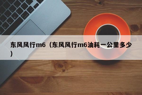 东风风行m6（东风风行m6油耗一公里多少）