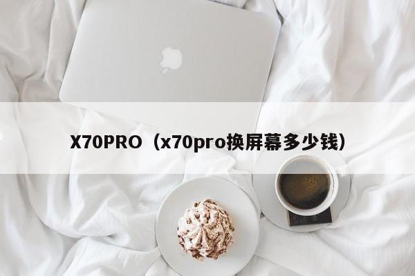 X70PRO（x70pro换屏幕多少钱）