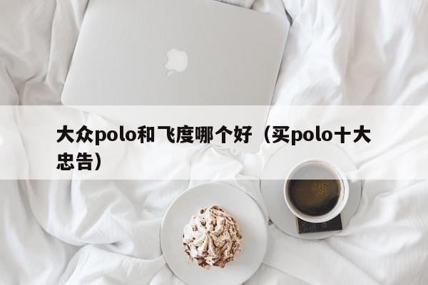 大众polo和飞度哪个好（买polo十大忠告）