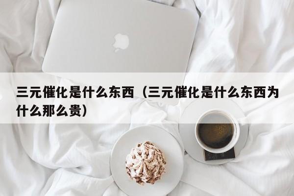 三元催化是什么东西（三元催化是什么东西为什么那么贵）