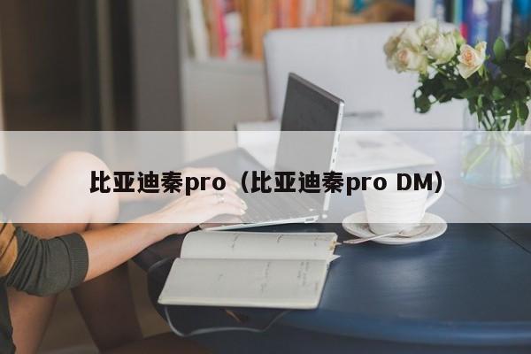 比亚迪秦pro（比亚迪秦pro DM）