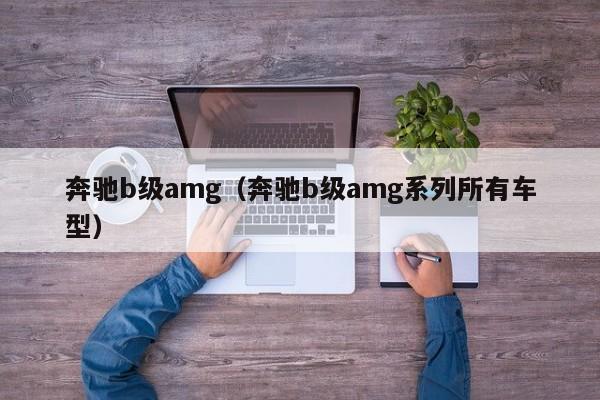 奔驰b级amg（奔驰b级amg系列所有车型）