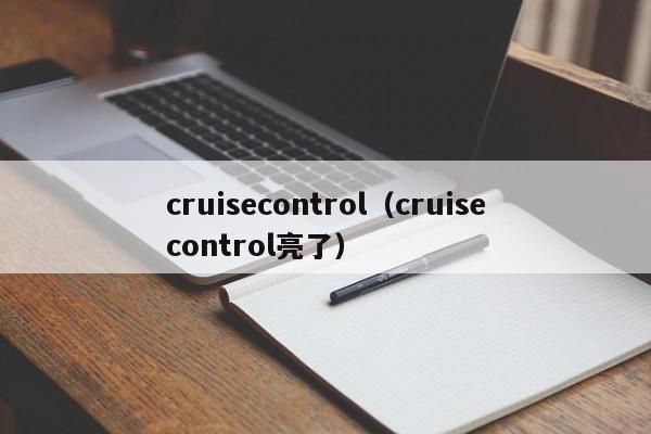 cruisecontrol（cruisecontrol亮了）