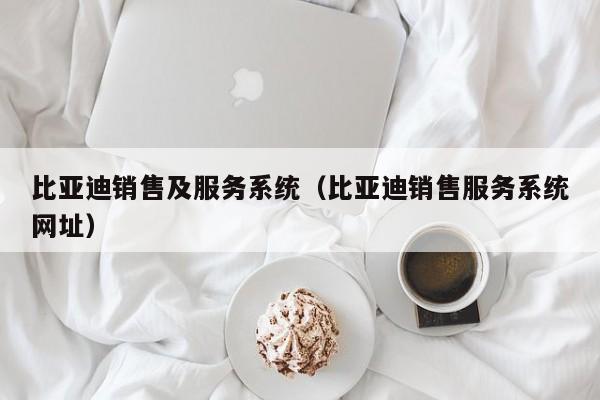 比亚迪销售及服务系统（比亚迪销售服务系统网址）