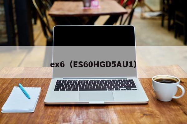 ex6（ES60HGD5AU1）