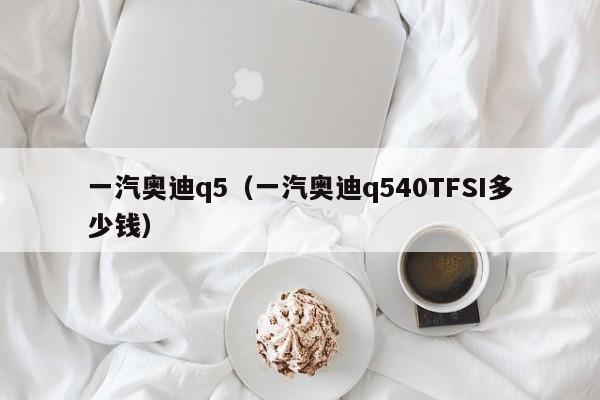 一汽奥迪q5（一汽奥迪q540TFSI多少钱）