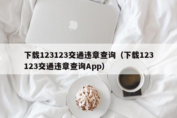 下载123123交通违章查询（下载123123交通违章查询App）