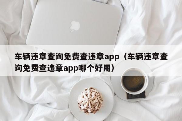 车辆违章查询免费查违章app（车辆违章查询免费查违章app哪个好用）